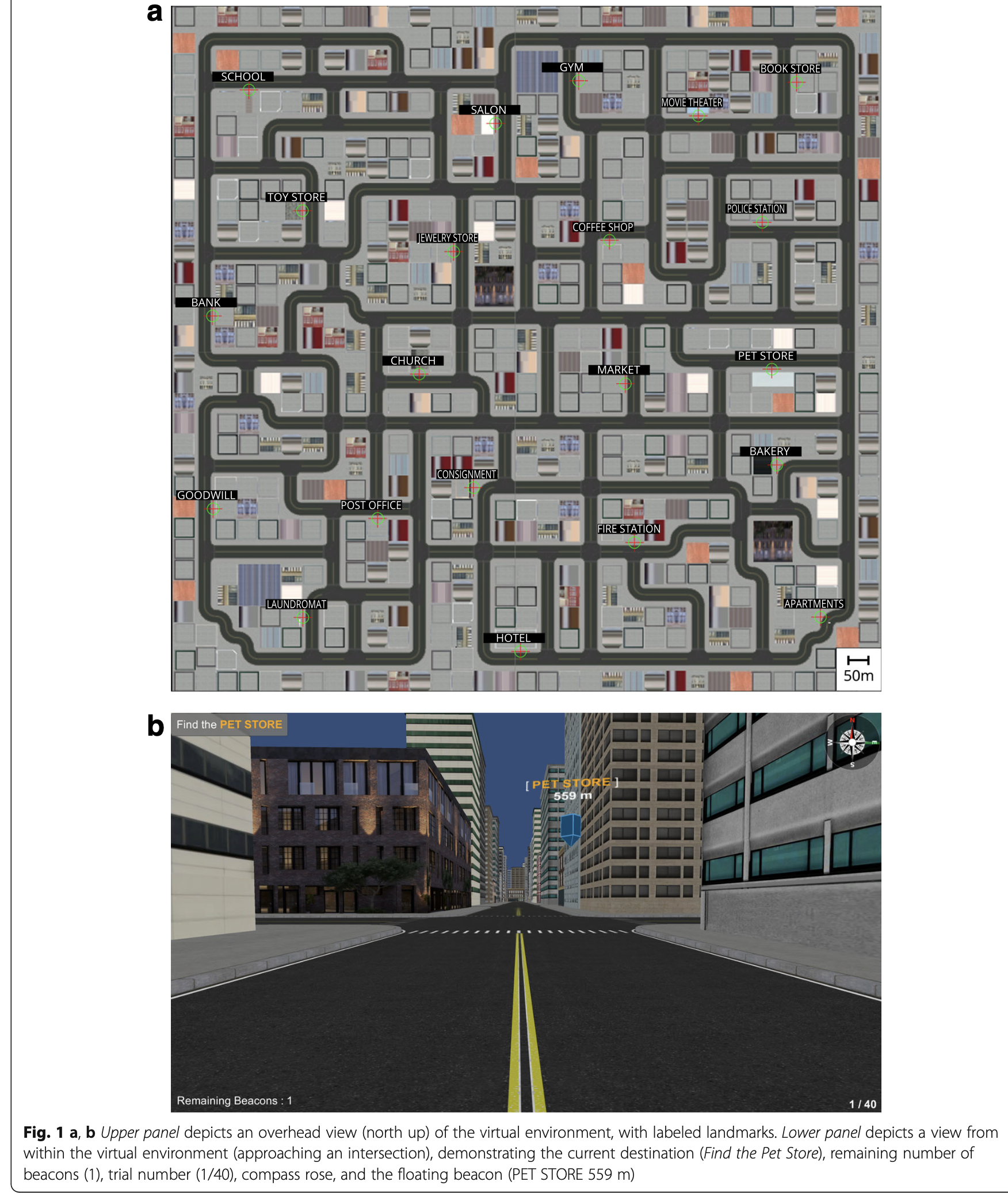Figure from Brunyé et al. (2018)